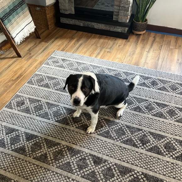 Meet your Posher, Ryan - Picture 1 of 1